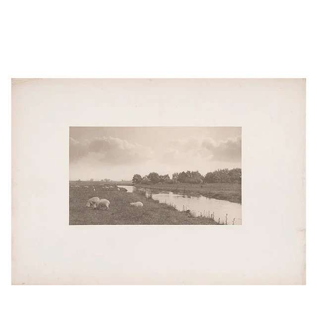 Life and Landscape on the Norfolk Broads