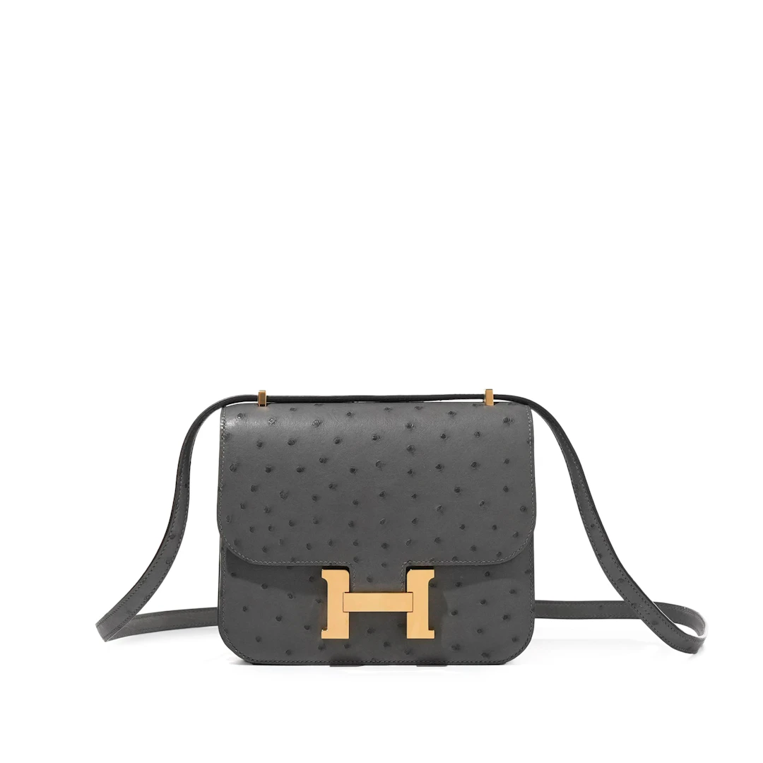 Graphite Ostrich Mini Constance 18 Gold Hardware, 2022