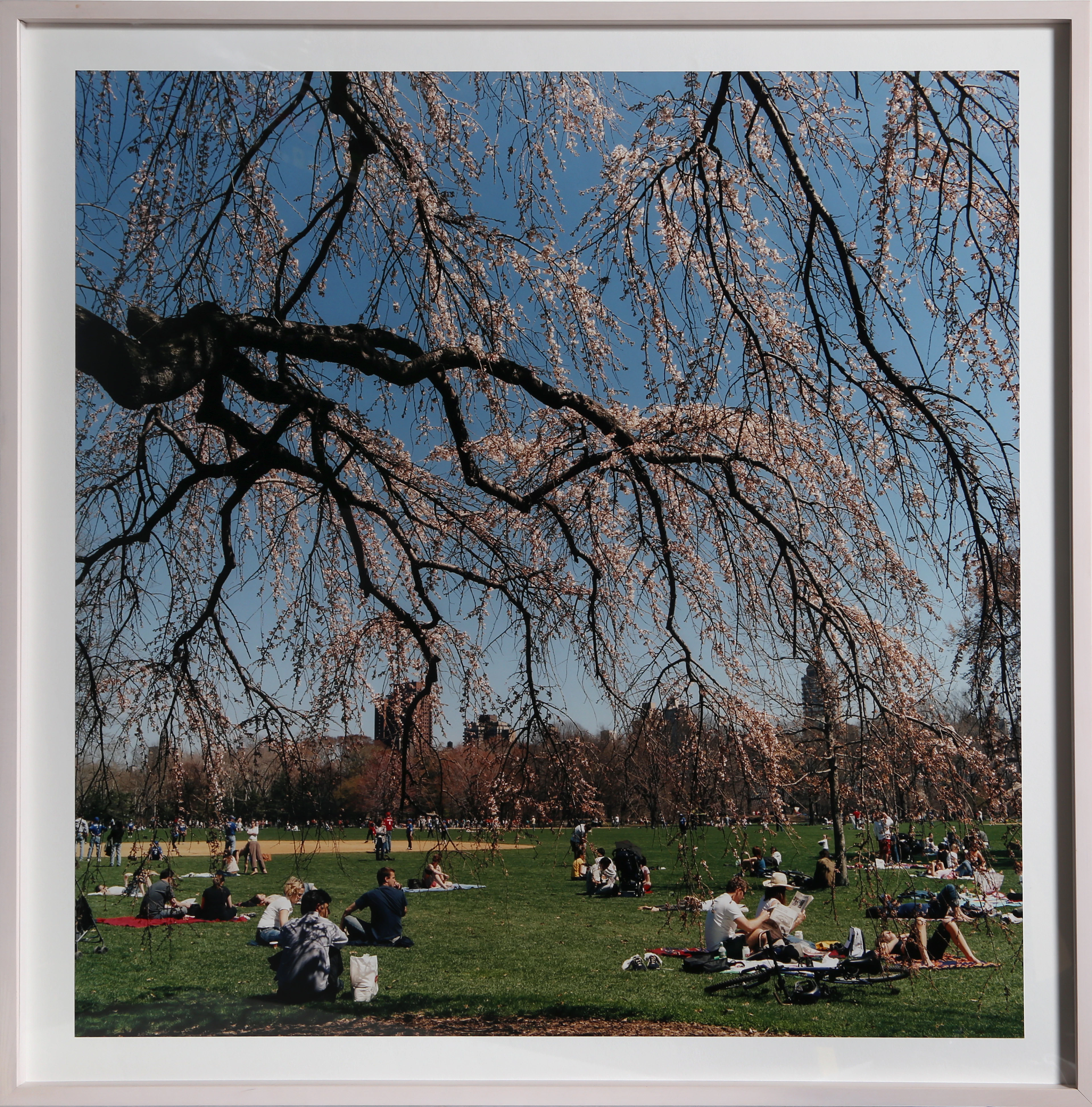 Central Park 7