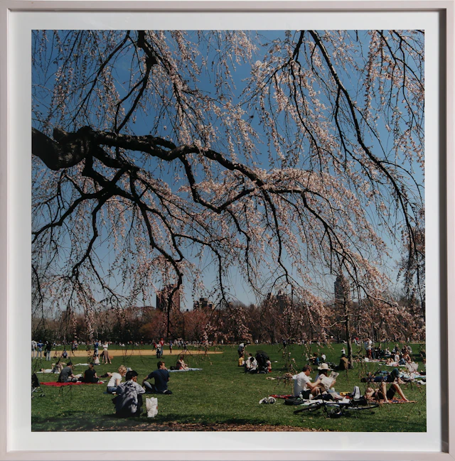 Central Park 7