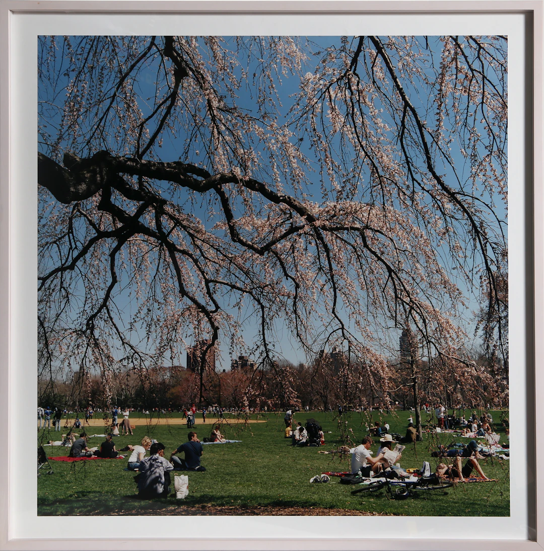 Central Park 7