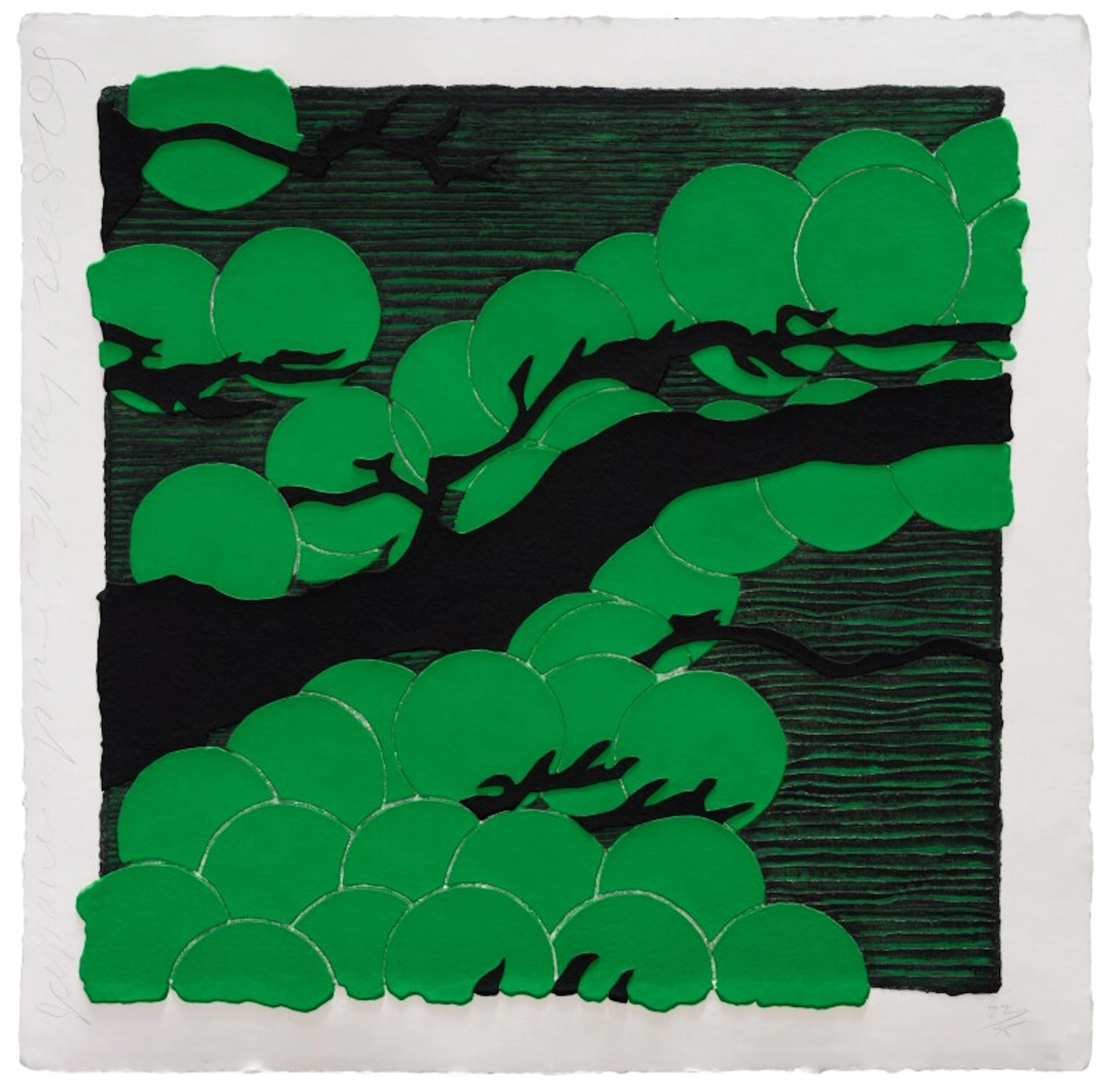 Japanese Pines