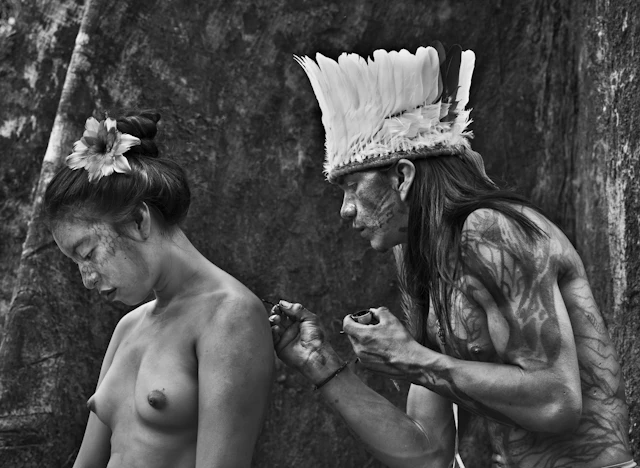 Rio Gregório Indigenous Territory, State of Acre, Brazil