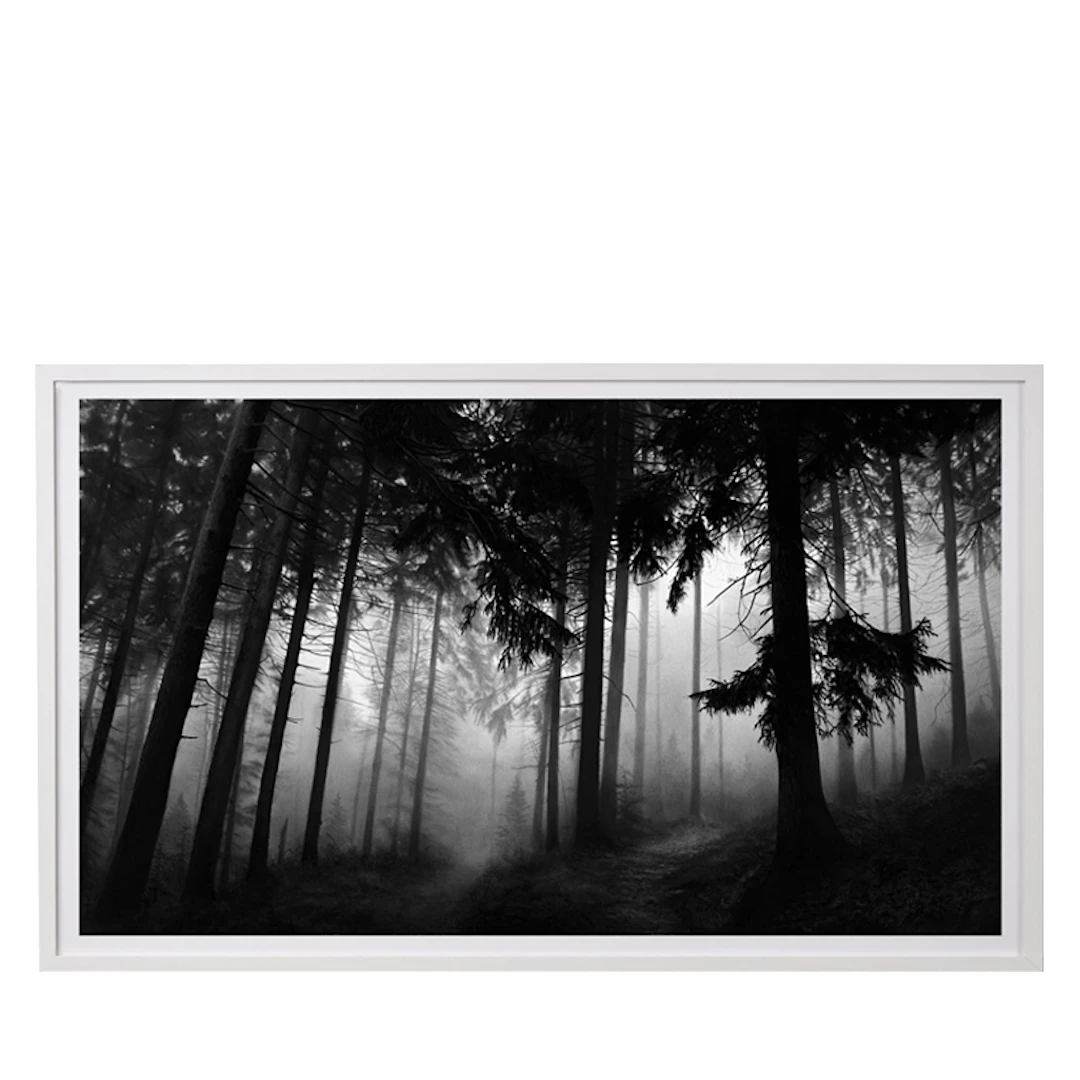 Fairmount Forest Signed Print