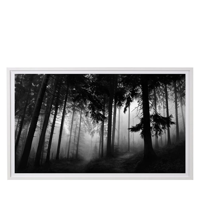 Fairmount Forest Signed Print