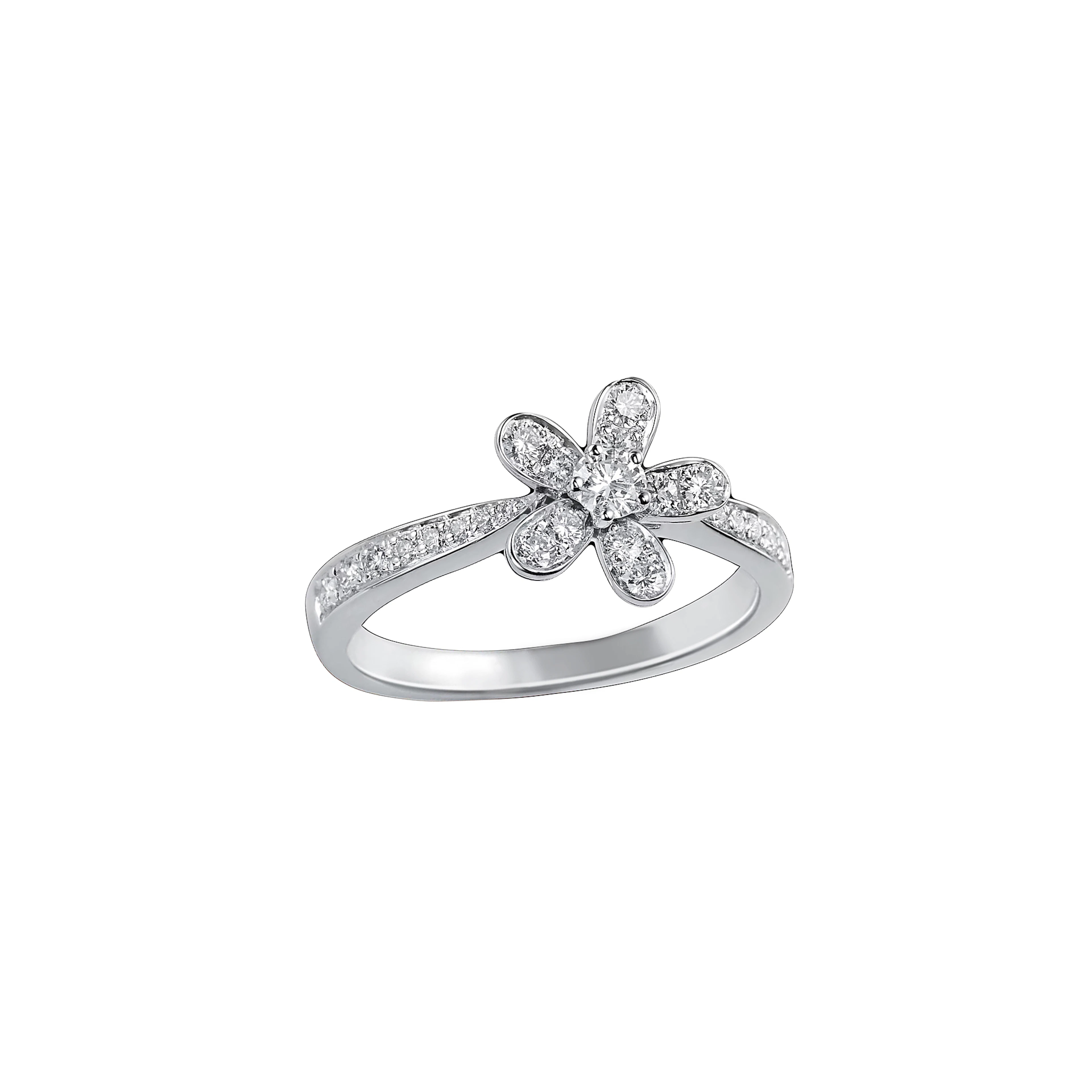 White Gold and Diamond Socrate Ring