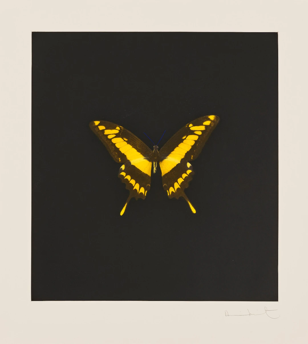 Plate 6, from: The Souls on Jacob's Ladder Take Their Flight 