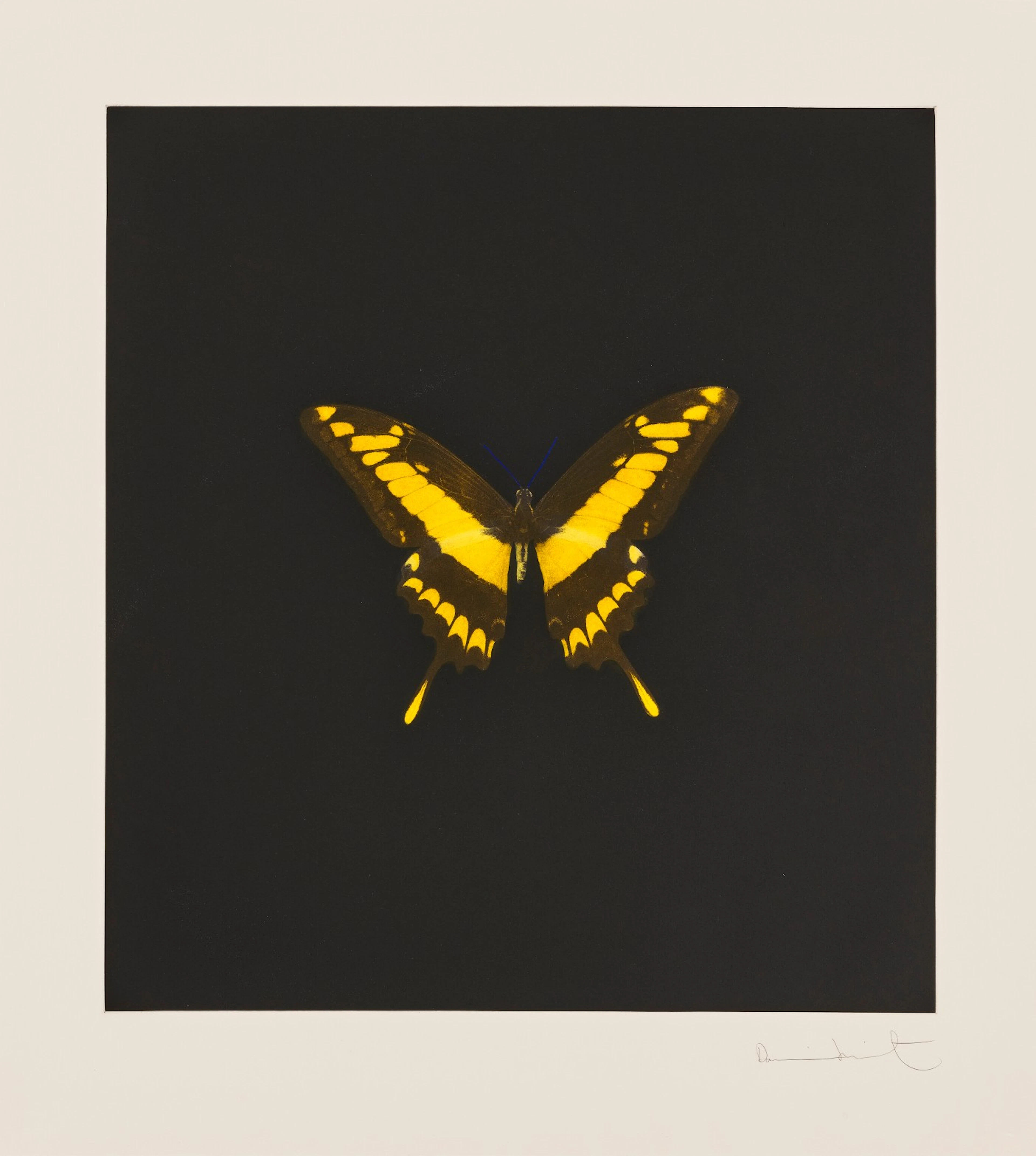 Plate 6, from: The Souls on Jacob's Ladder Take Their Flight​ ​