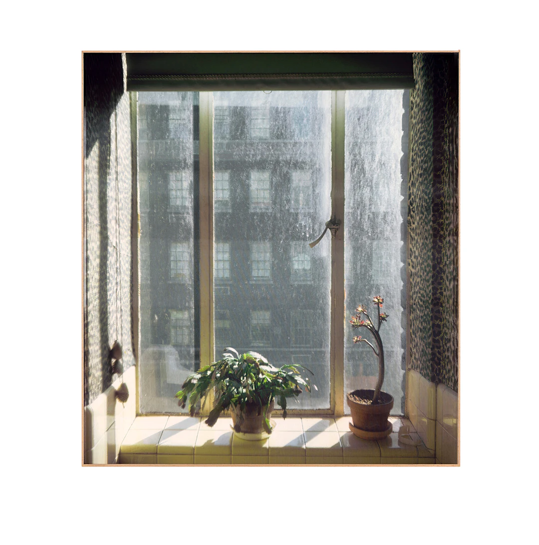 New York, New York, 1974 [Kitchen Window]