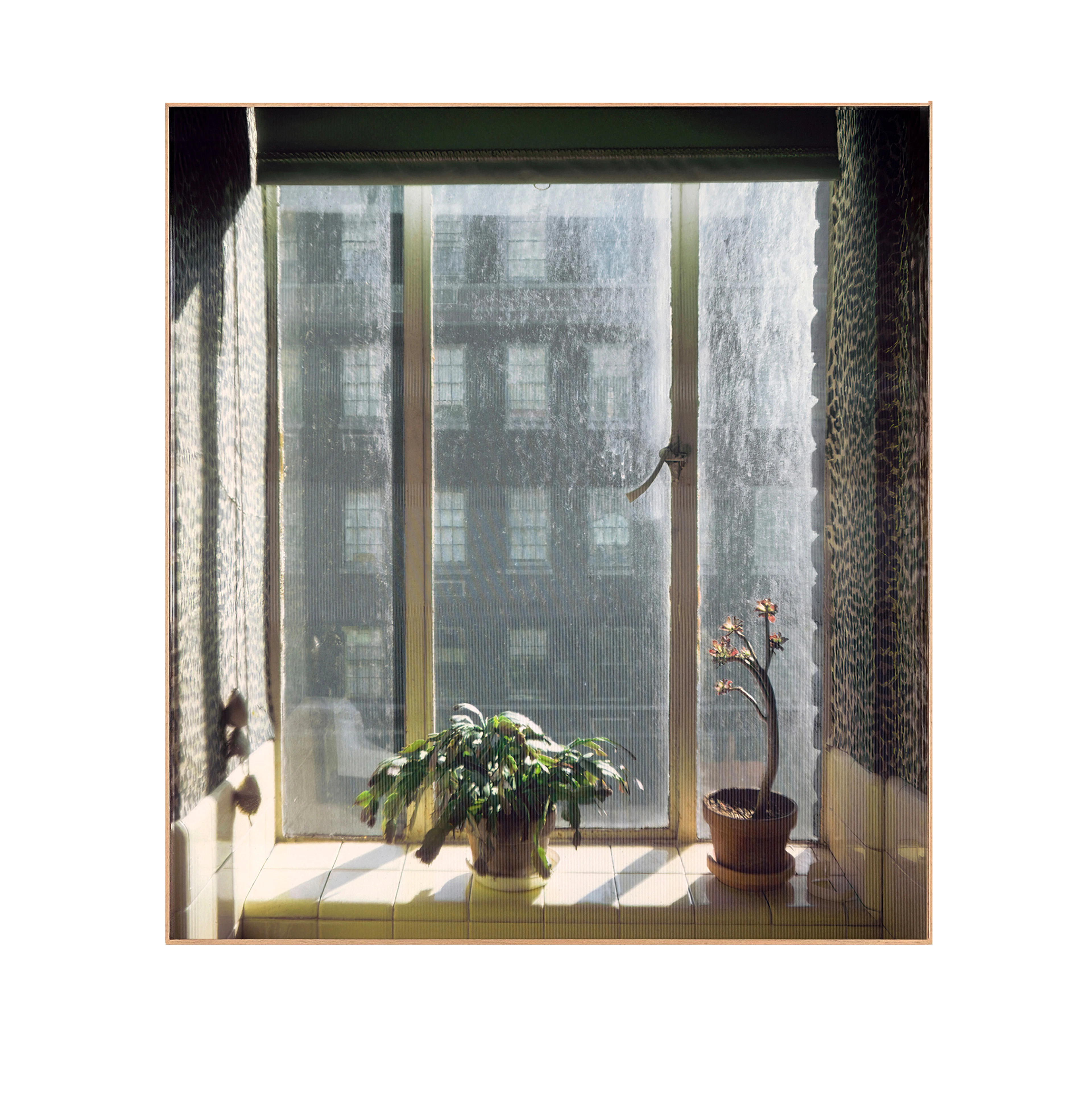 New York, New York, 1974 [Kitchen Window]