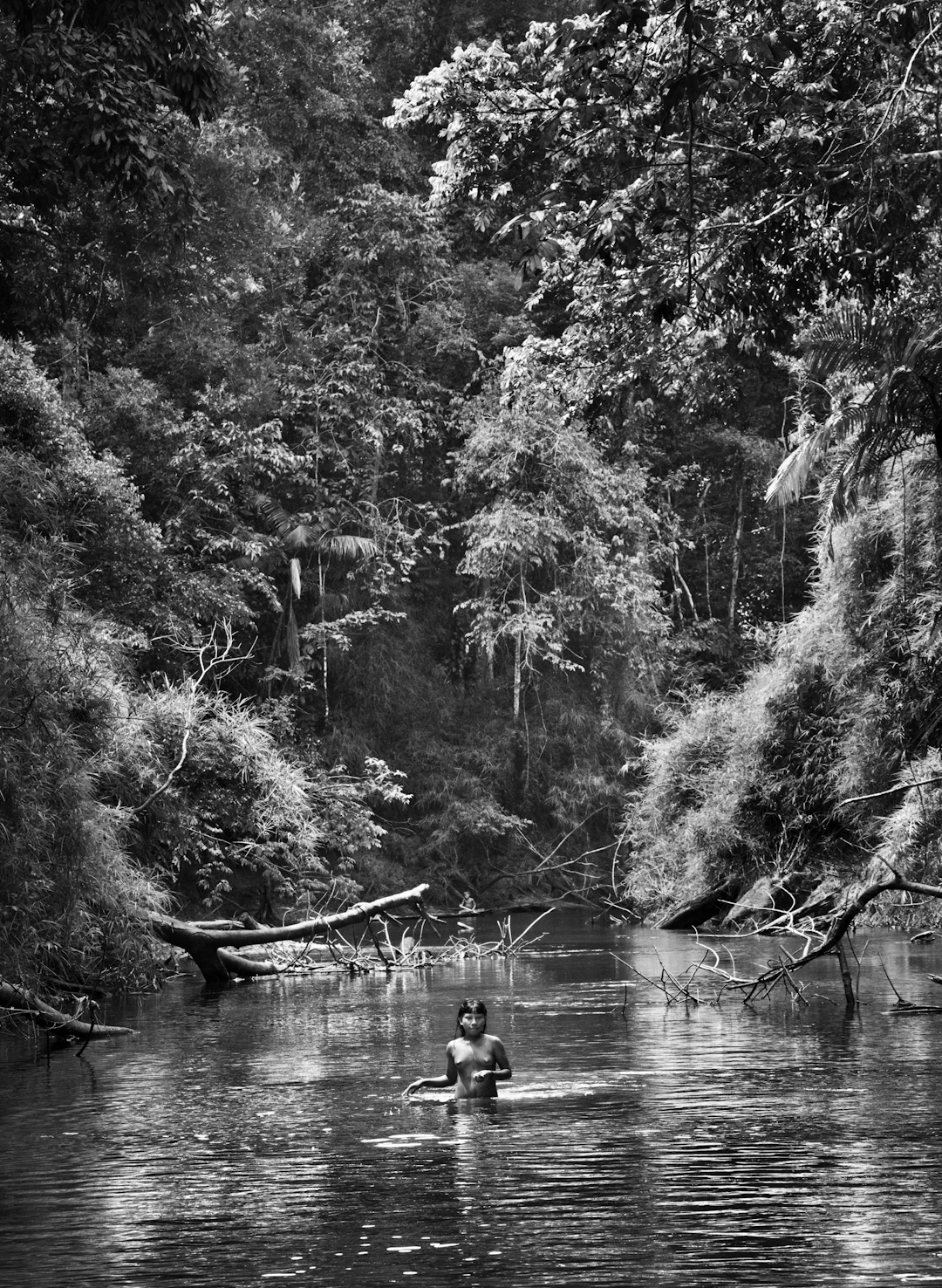 Suruwahá Indigenous Territory, State of Amazonas, Brazil