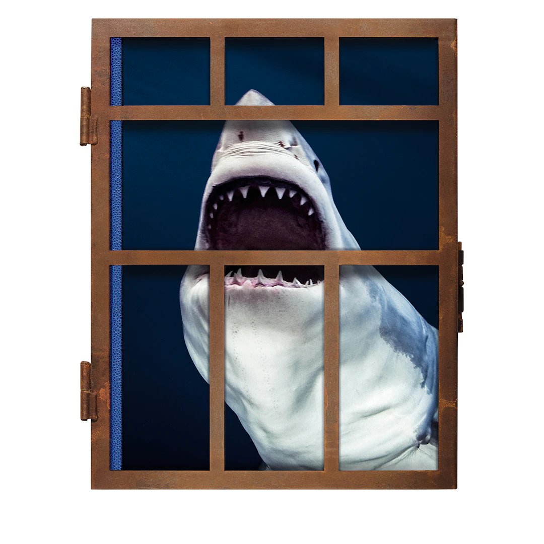 Sharks Collector's Edition