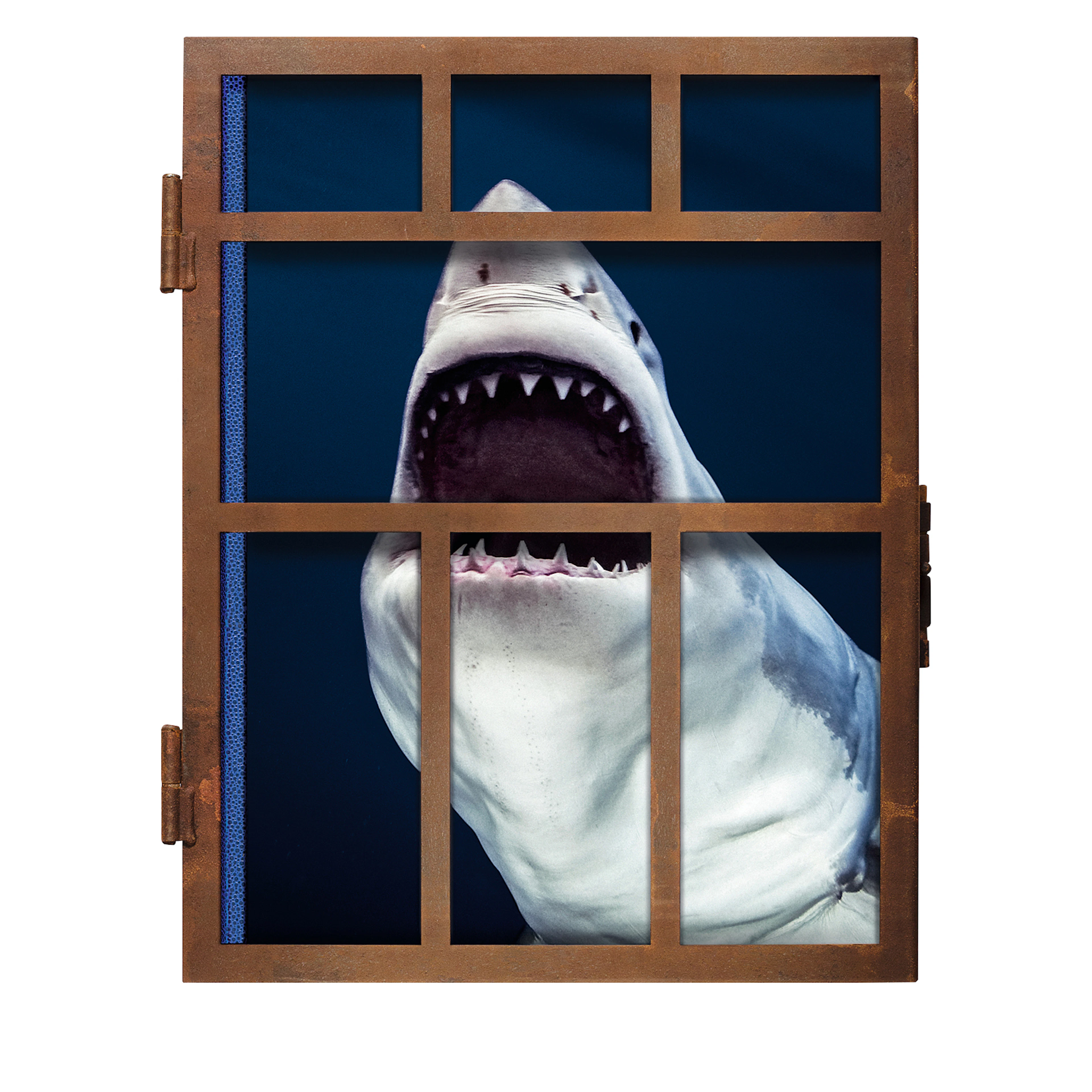 Sharks Collector's Edition