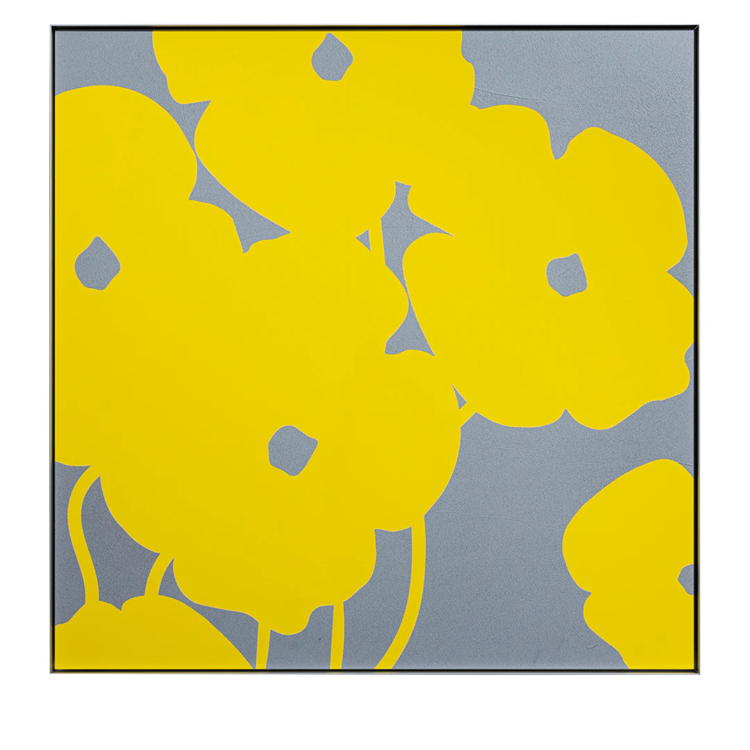 Yellow Poppies in Cement