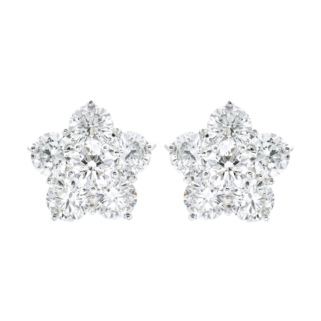 Platinum, White Gold and 6.25ctw Round Brilliant Cut Diamond Cluster Earrings