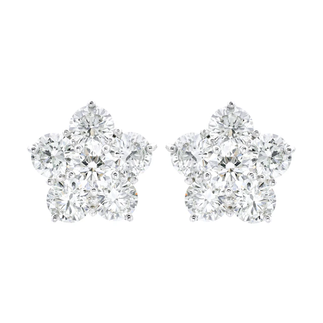 Platinum, White Gold and 6.25ctw Round Brilliant Cut Diamond Cluster Earrings