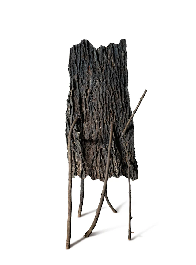 Lo spazio della scultura- pelle di cedro (chiodo)