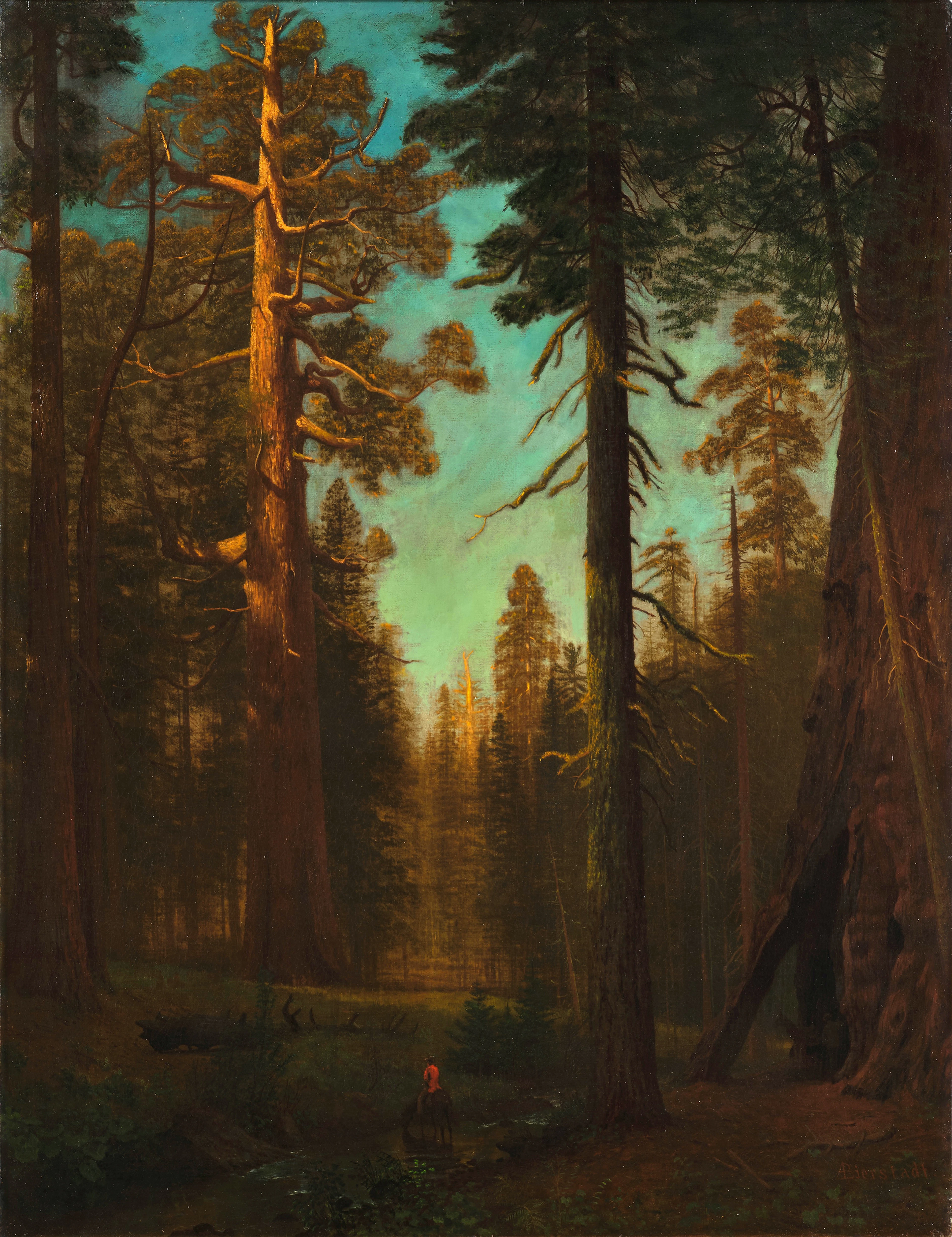 The Grizzly Giant, Mariposa Grove, Yosemite