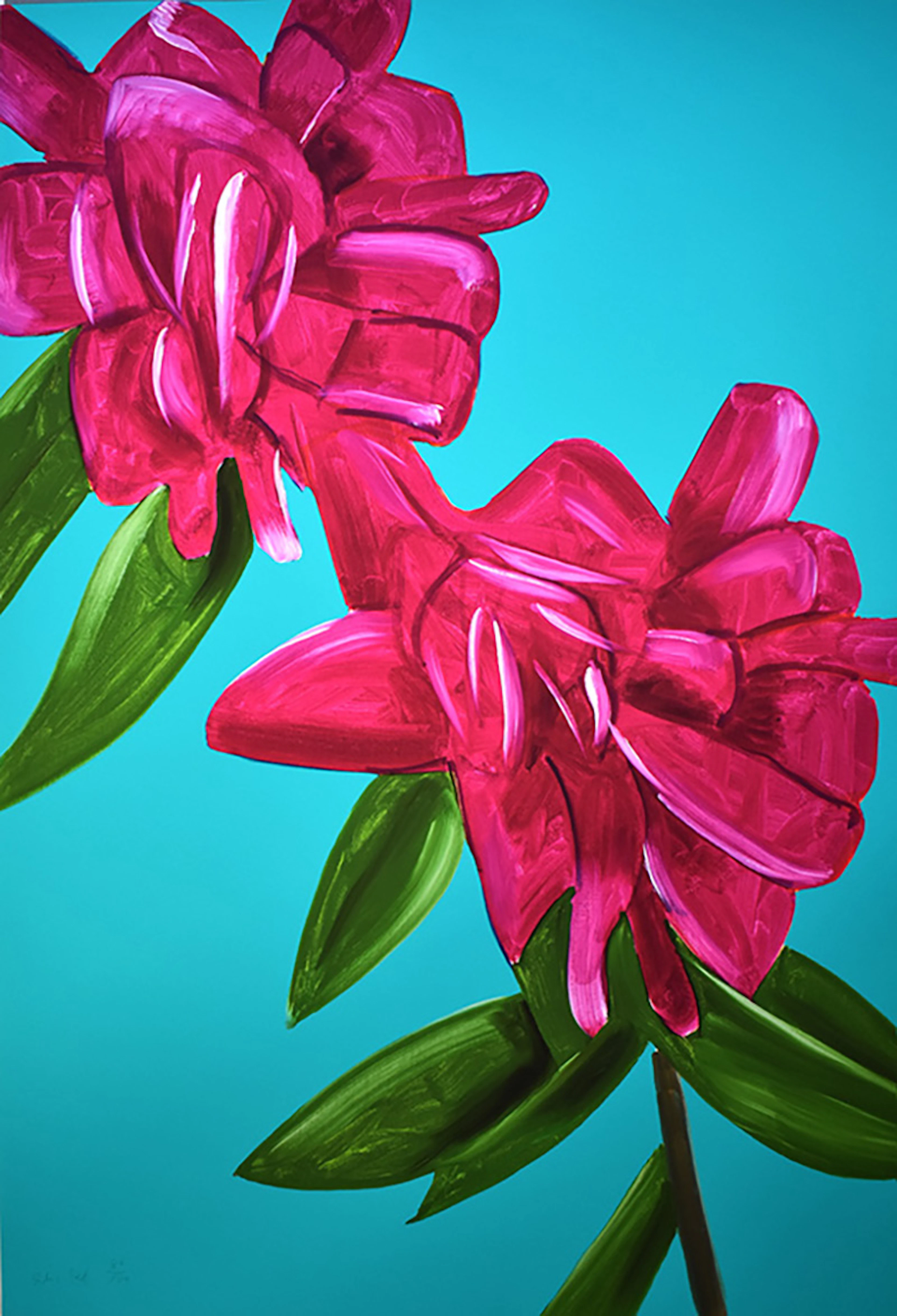 Peonies, from: Flowers Portfolio