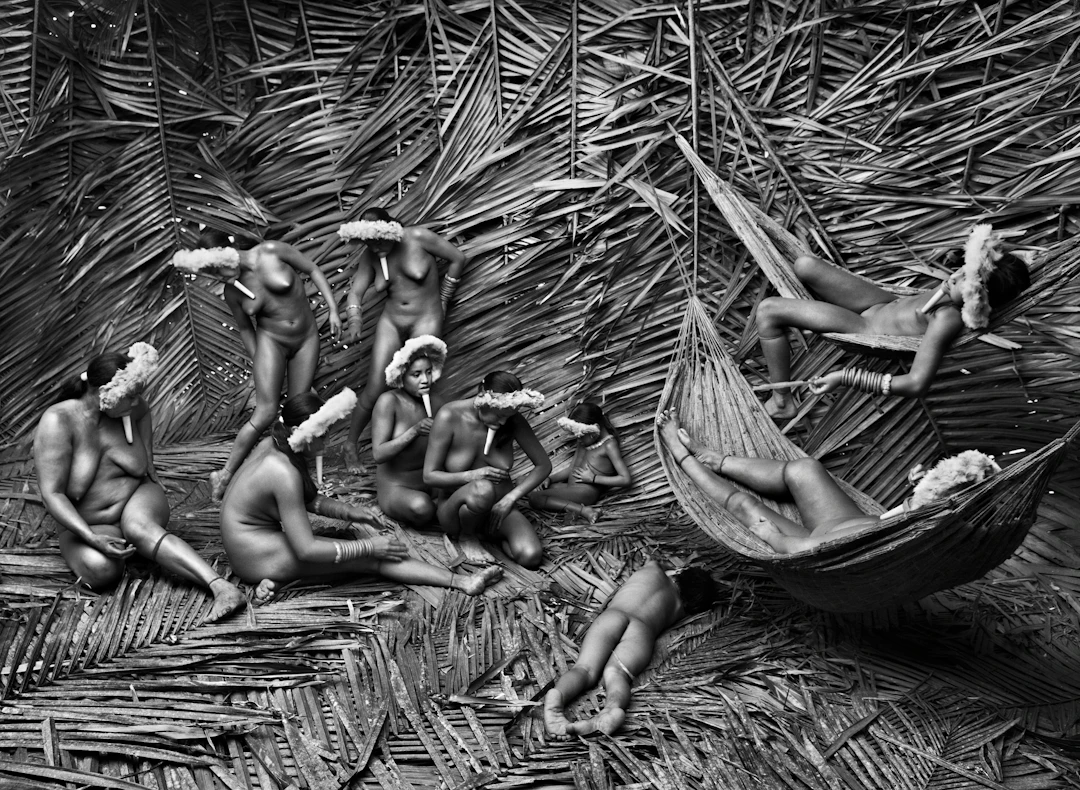 Zo’é Indigenous Territory, State of Pará, Brazil