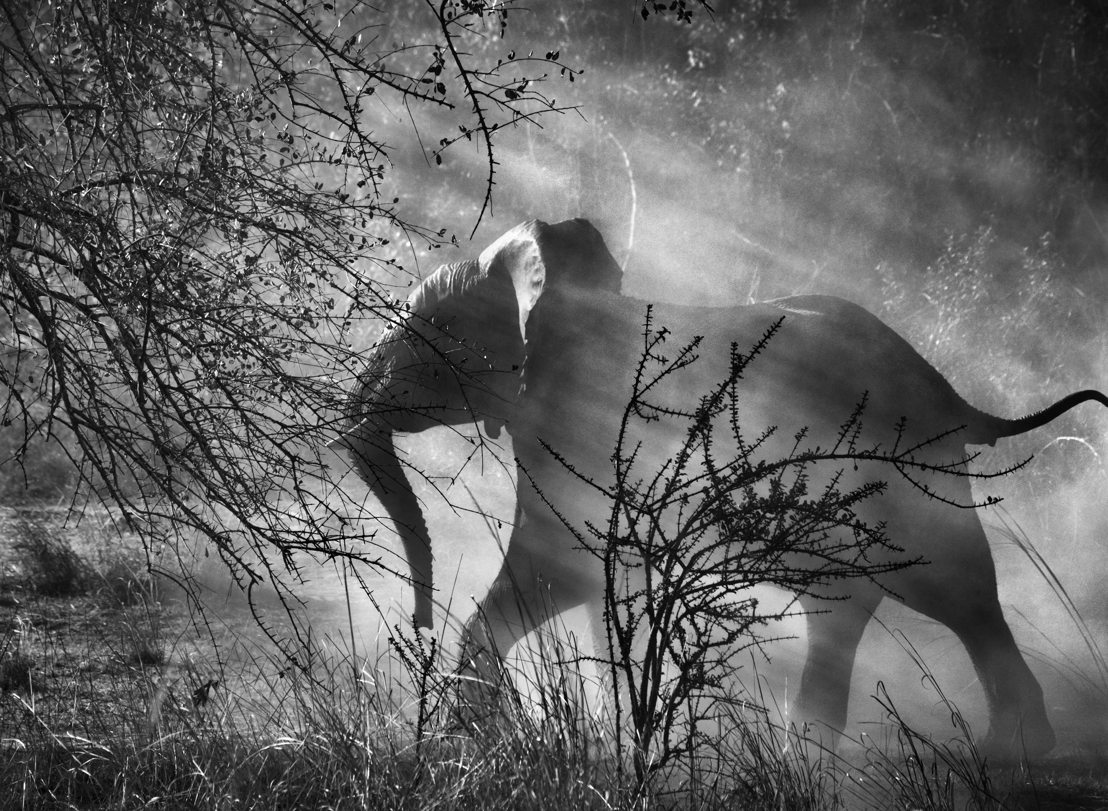 Kafue National Park, Zambia