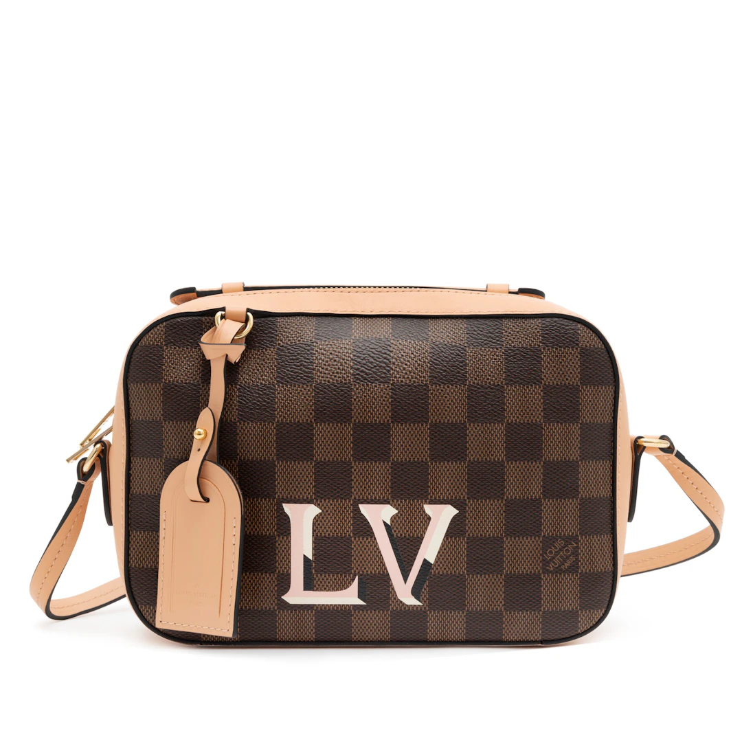 Brown Damier Ebene Coated Canvas and Pink Leather Santa Monica Camera