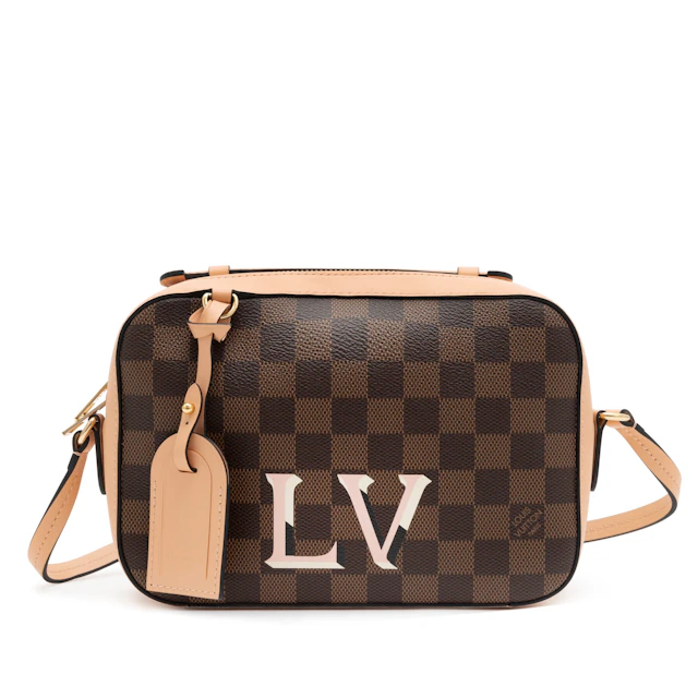 Brown Damier Ebene Coated Canvas and Pink Leather Santa Monica Camera