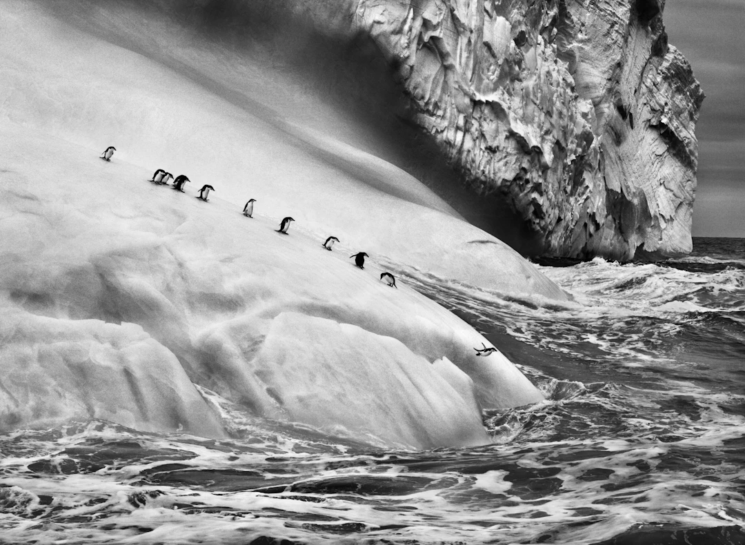 South Sandwich Islands