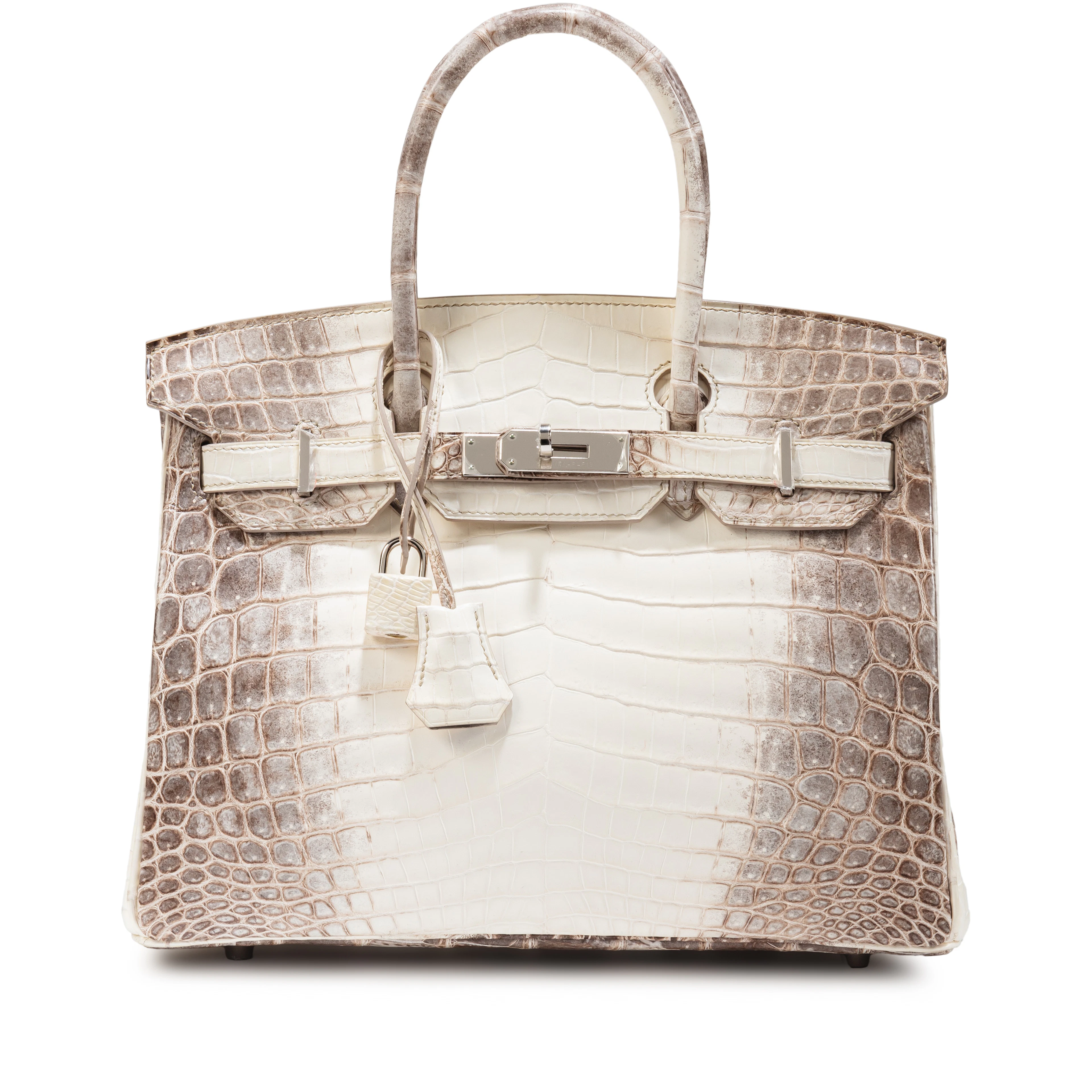 White Matte Niloticus Crocodile Himalaya Birkin 30 Palladium Hardware, 2016