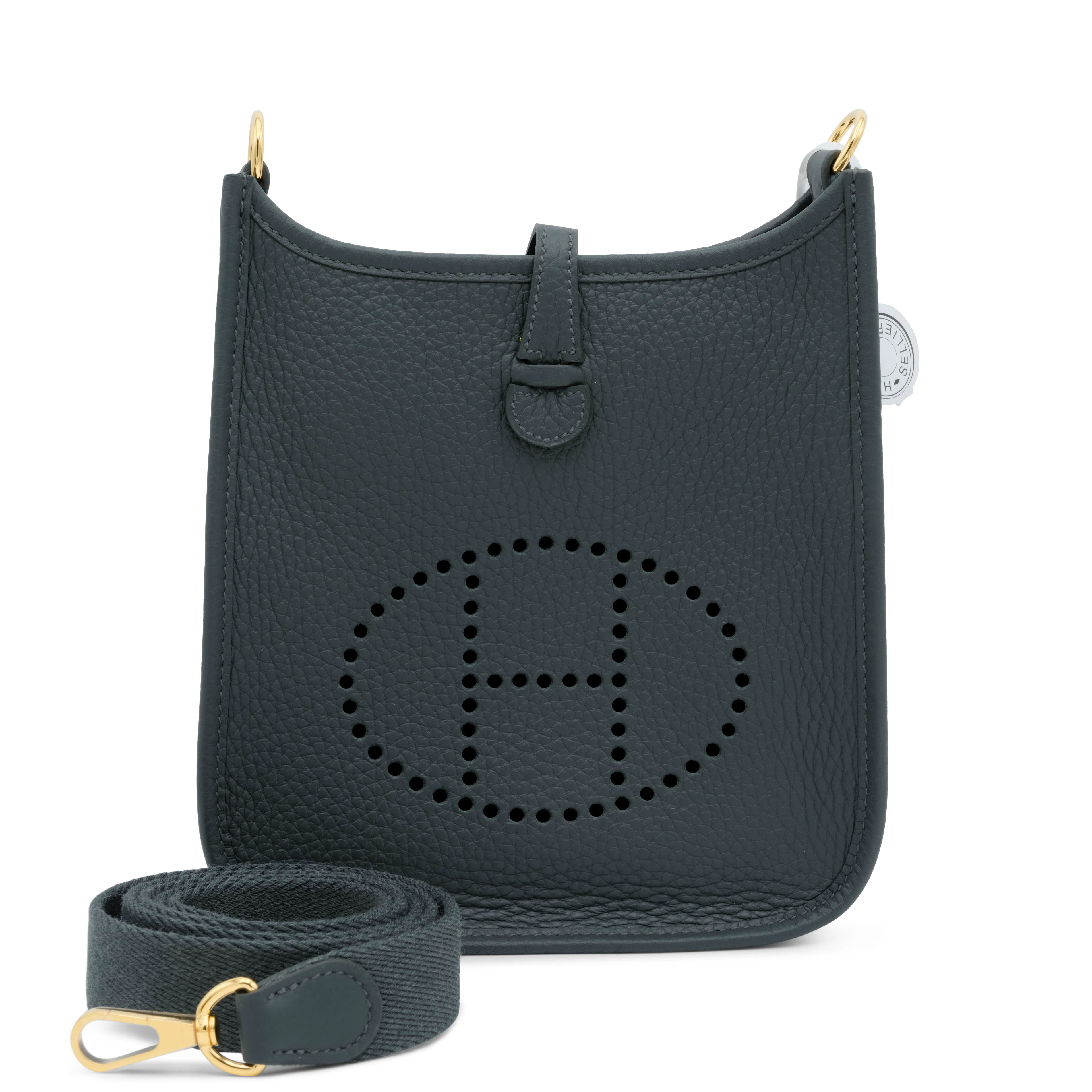 Vert Mangrove Clémence Mini Evelyne II TPM 16 Gold Hardware, 2025