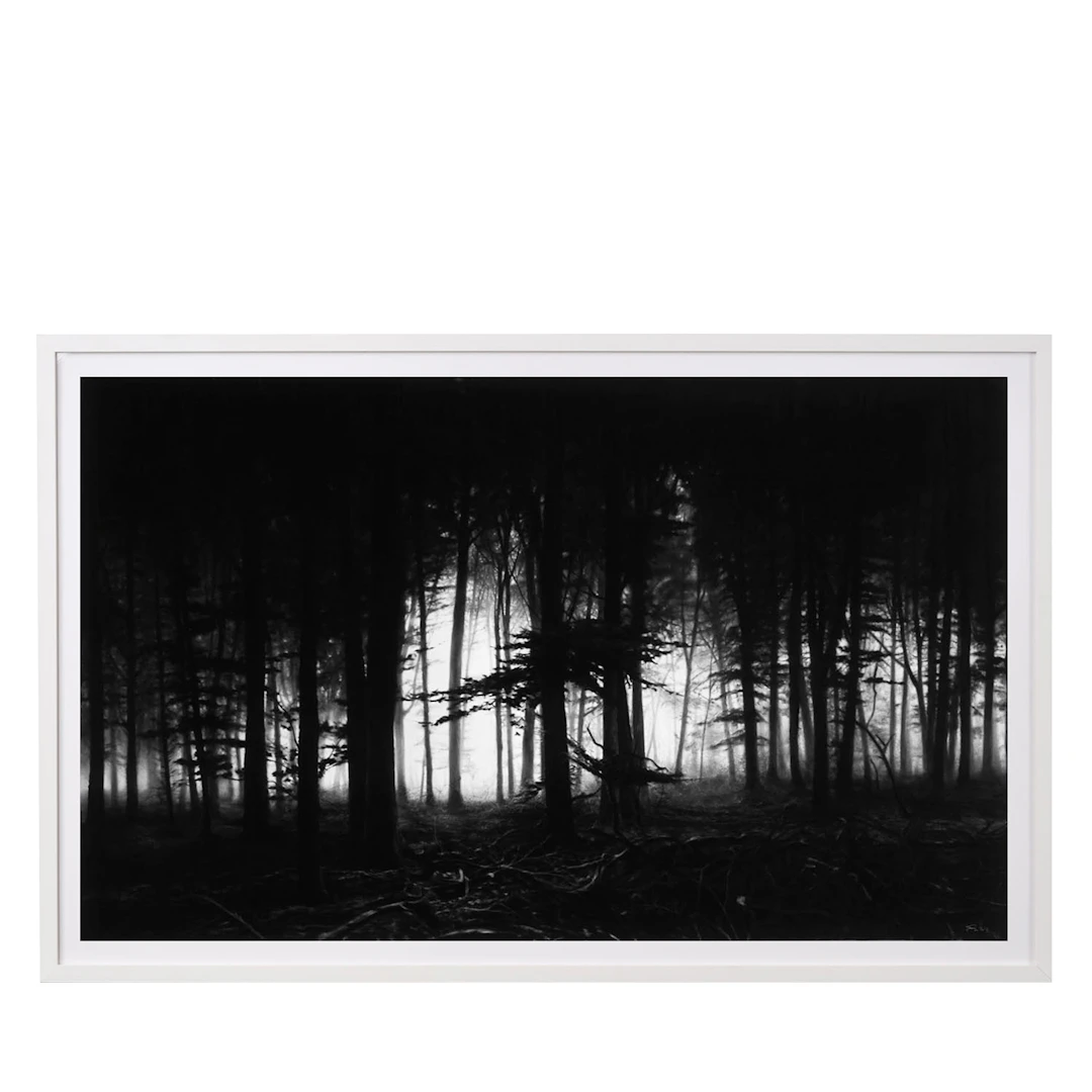 Forest of Doxa