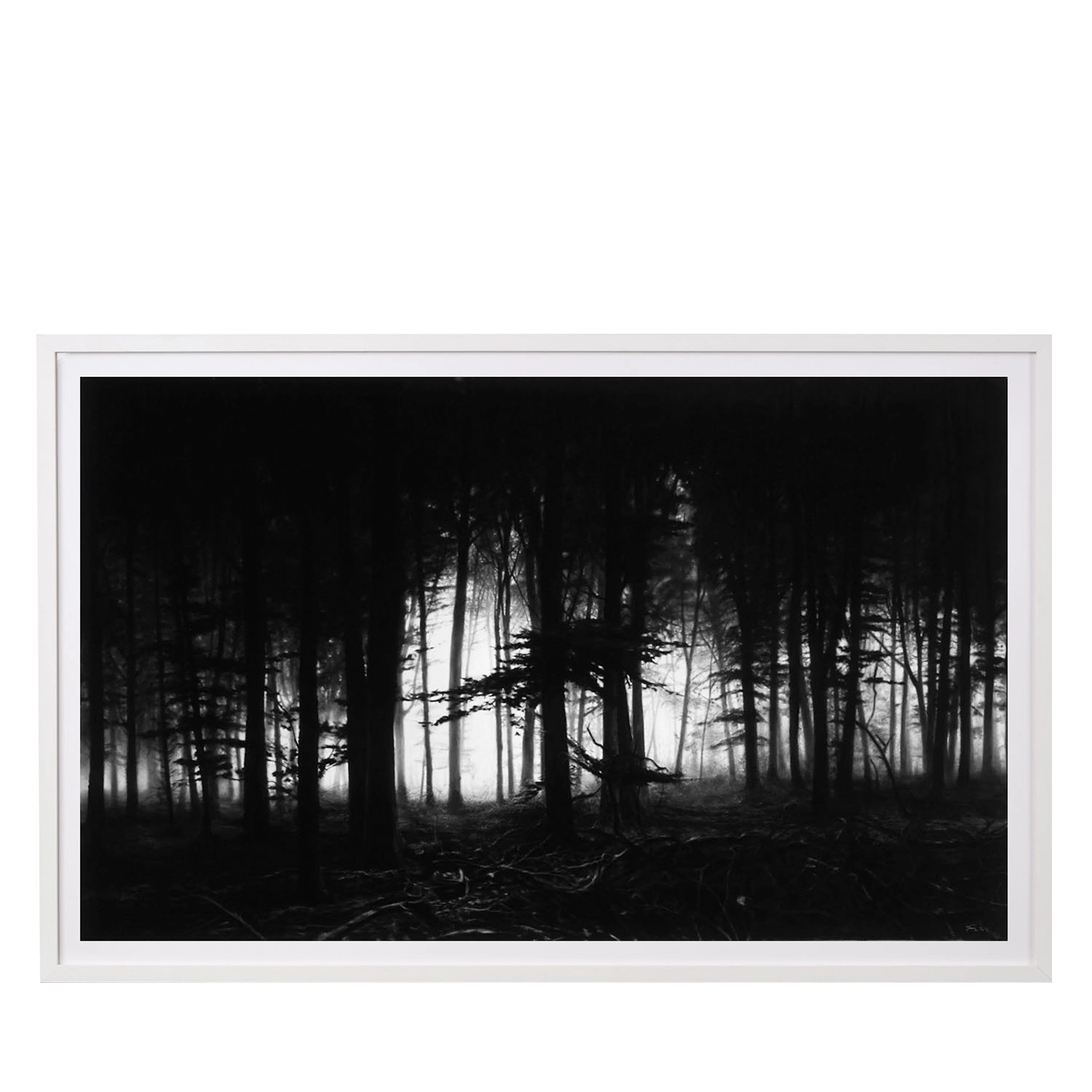 Forest of Doxa