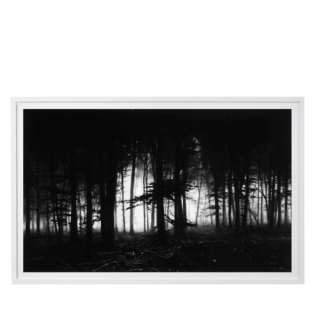 Forest of Doxa