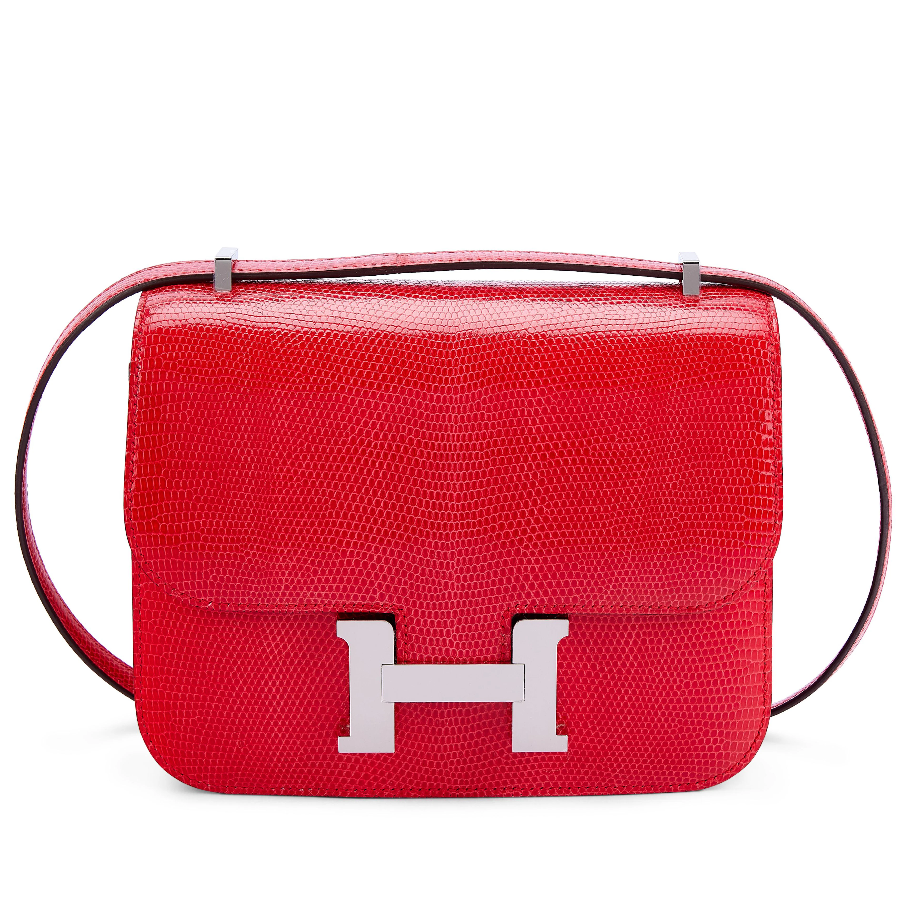 Rouge de Coeur Shiny Niloticus Lizard Mini Constance 18 Palladium