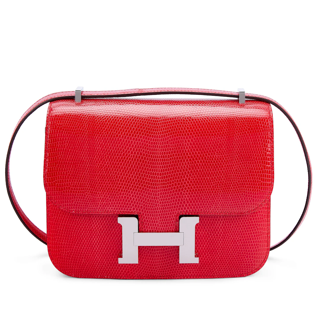 Rouge de Coeur Shiny Niloticus Lizard Mini Constance 18 Palladium