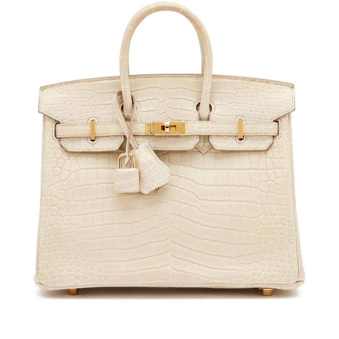 Beton Matte Porosus Crocodile Birkin 25 Gold Hardware, 2024