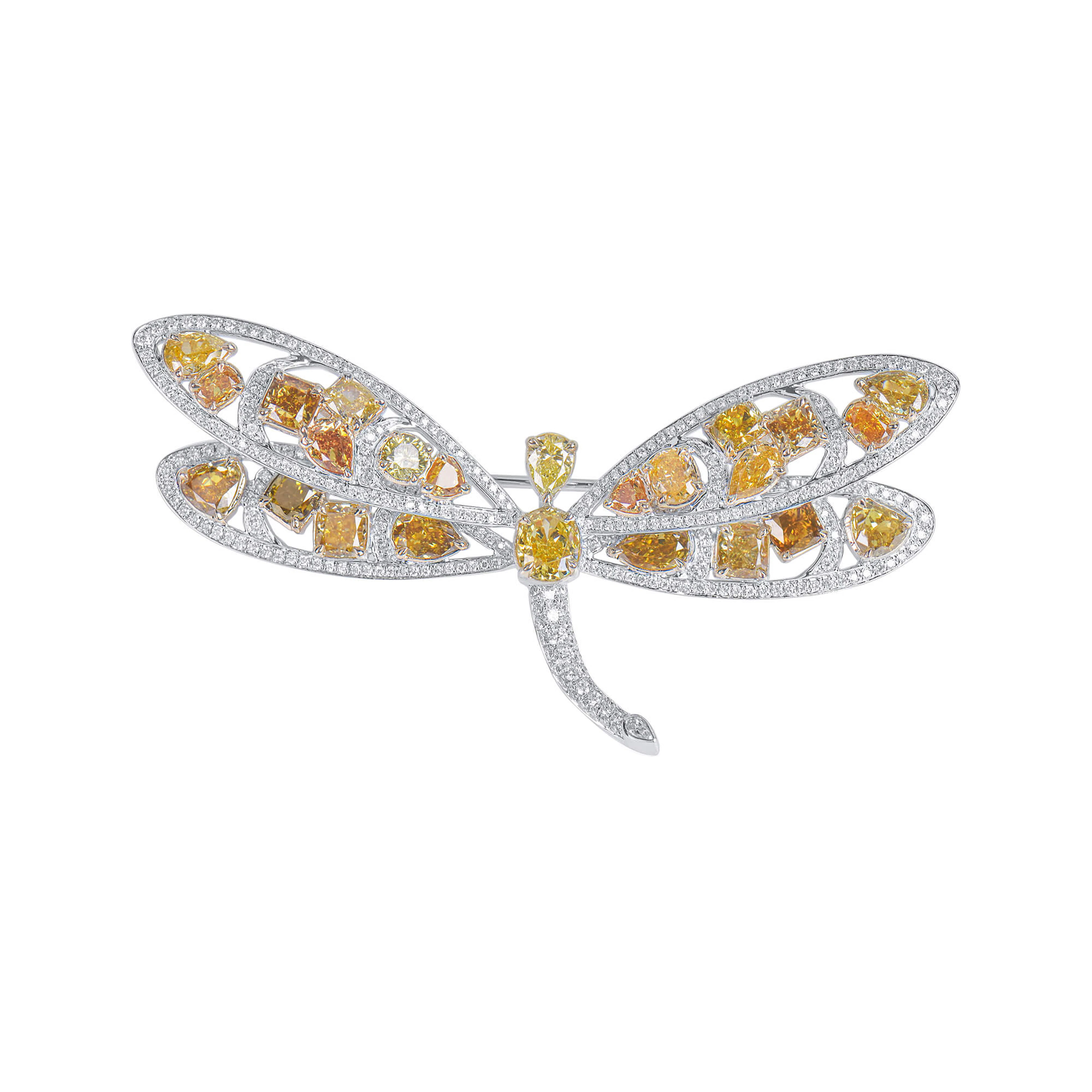 White Gold, Fancy Color Diamond and Diamond Dragonfly Brooch