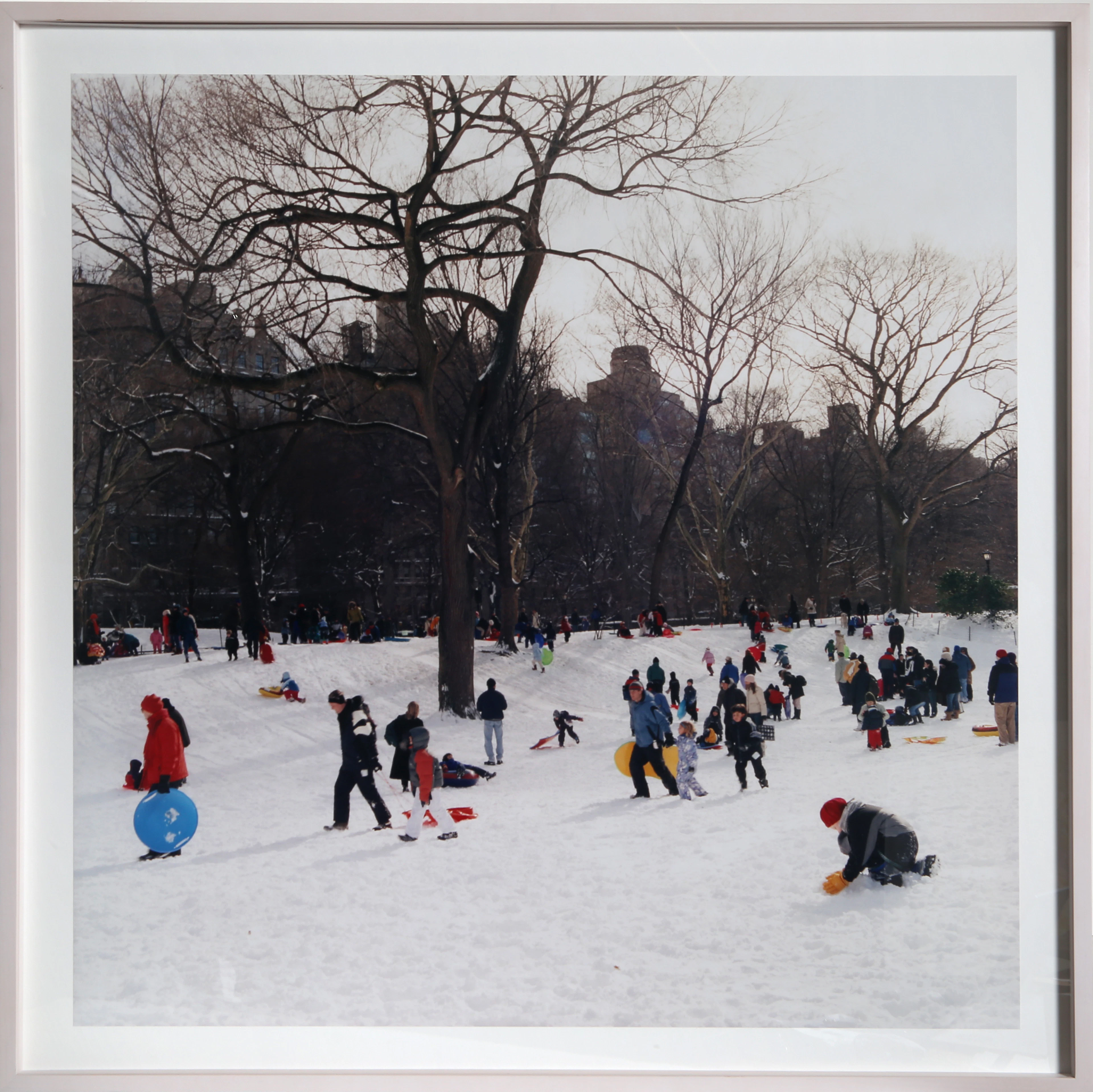 Central Park #19