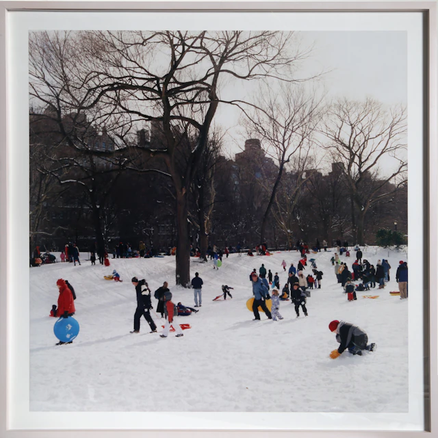 Central Park #19
