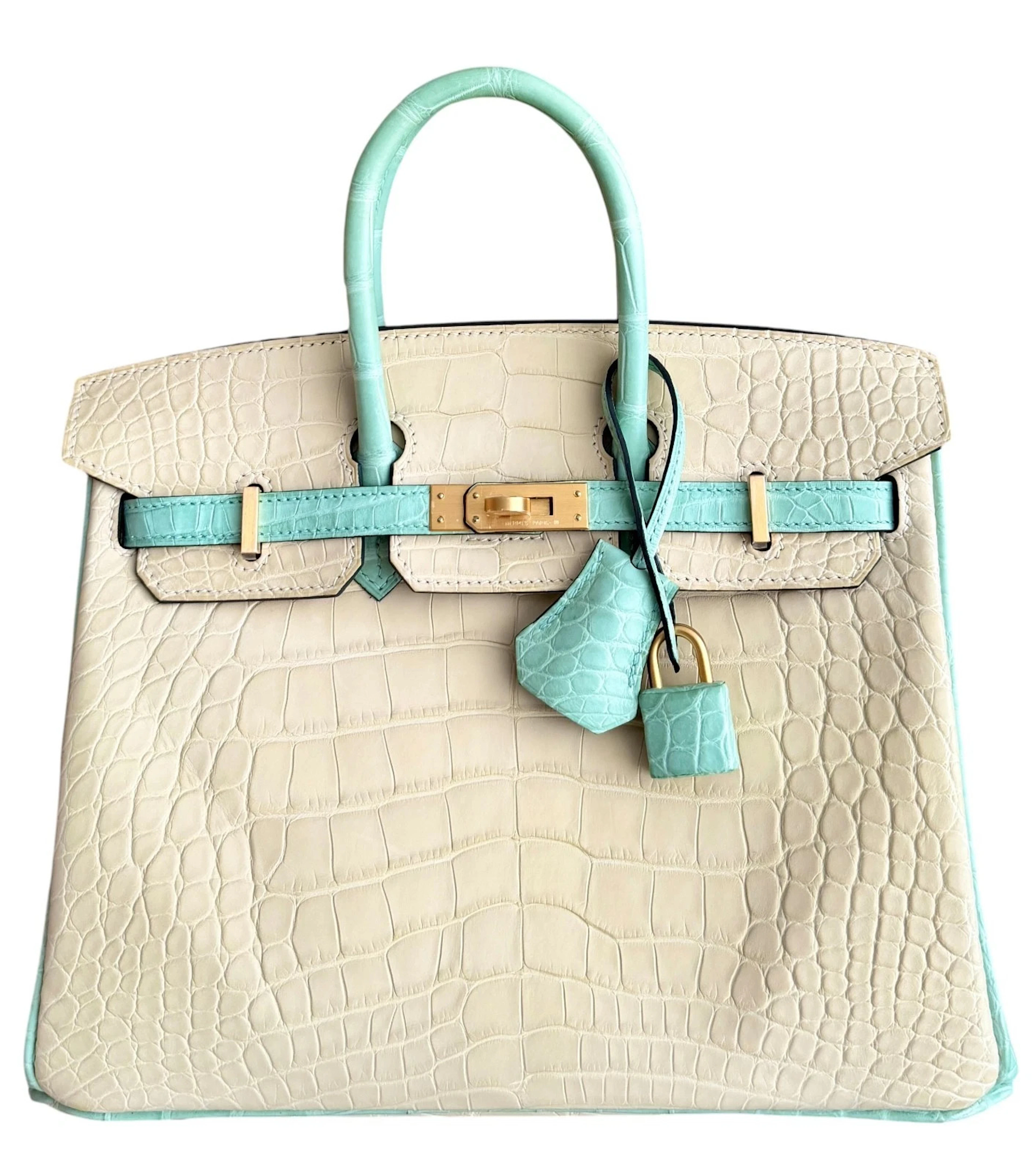 Vanille and Vert D'eau Matte Mississippiensis Alligator HSS Birkin