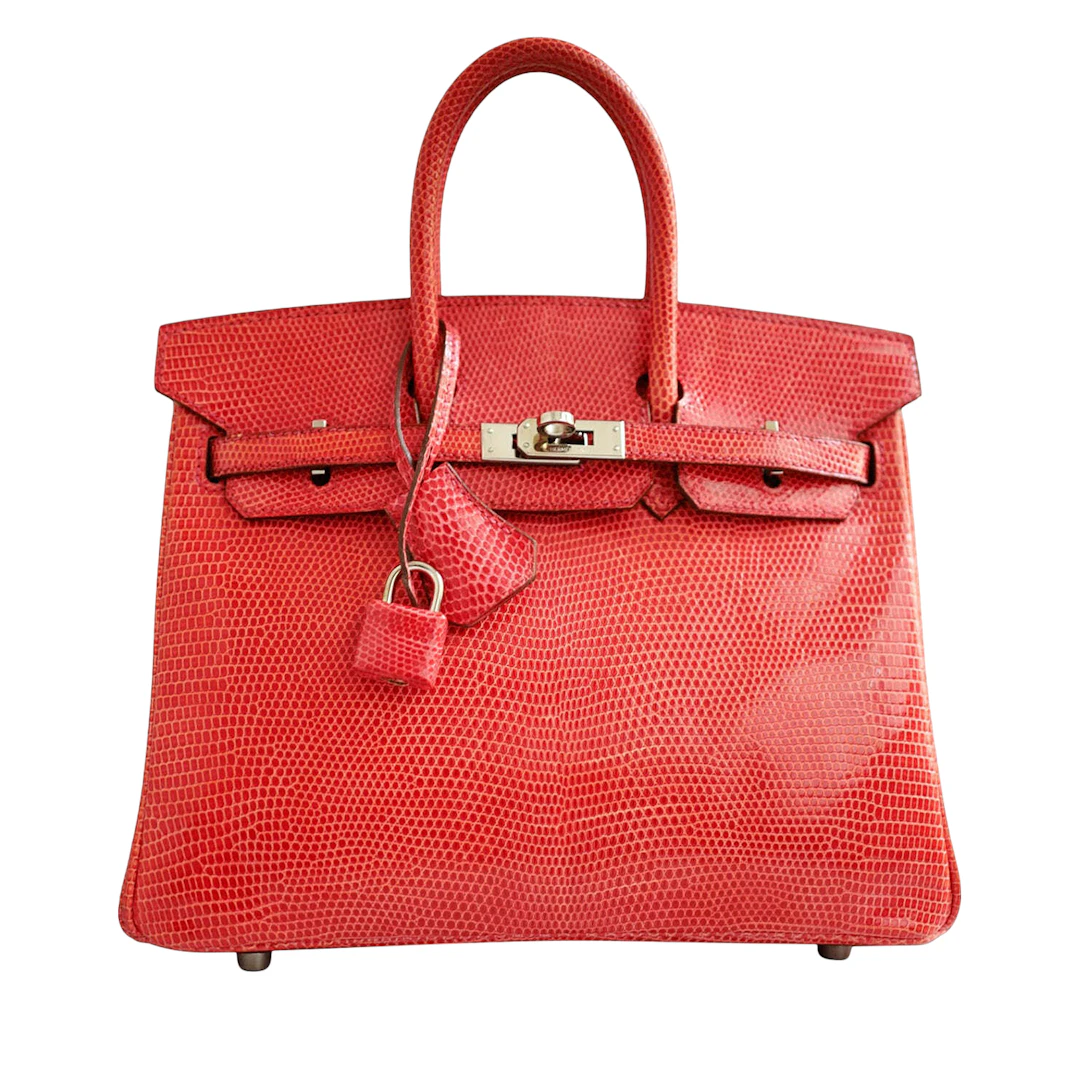 Bougainvillea Lizard Birkin 25 Palladium Hardware, 2014