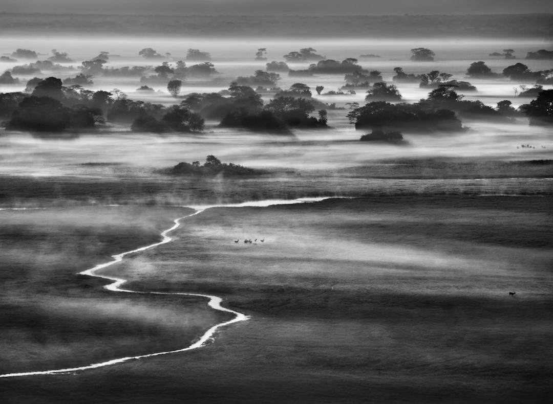 Kafue National Park, Zambia