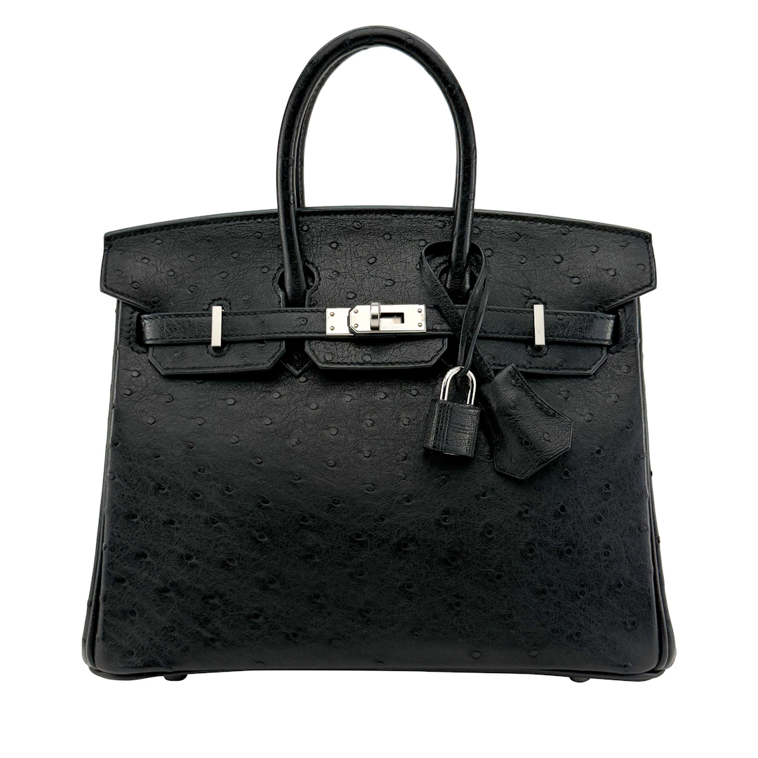 Black Ostrich Birkin 25 Palladium Hardware, 2024