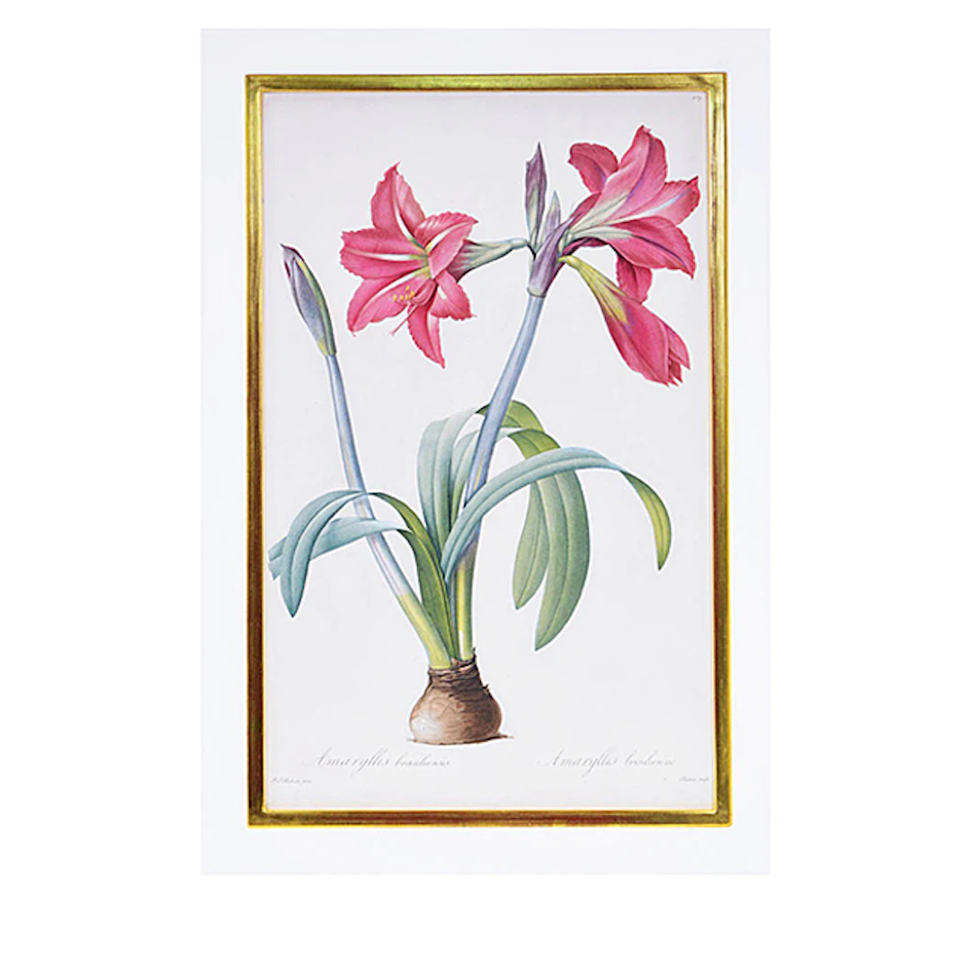 Amaryllis Plates