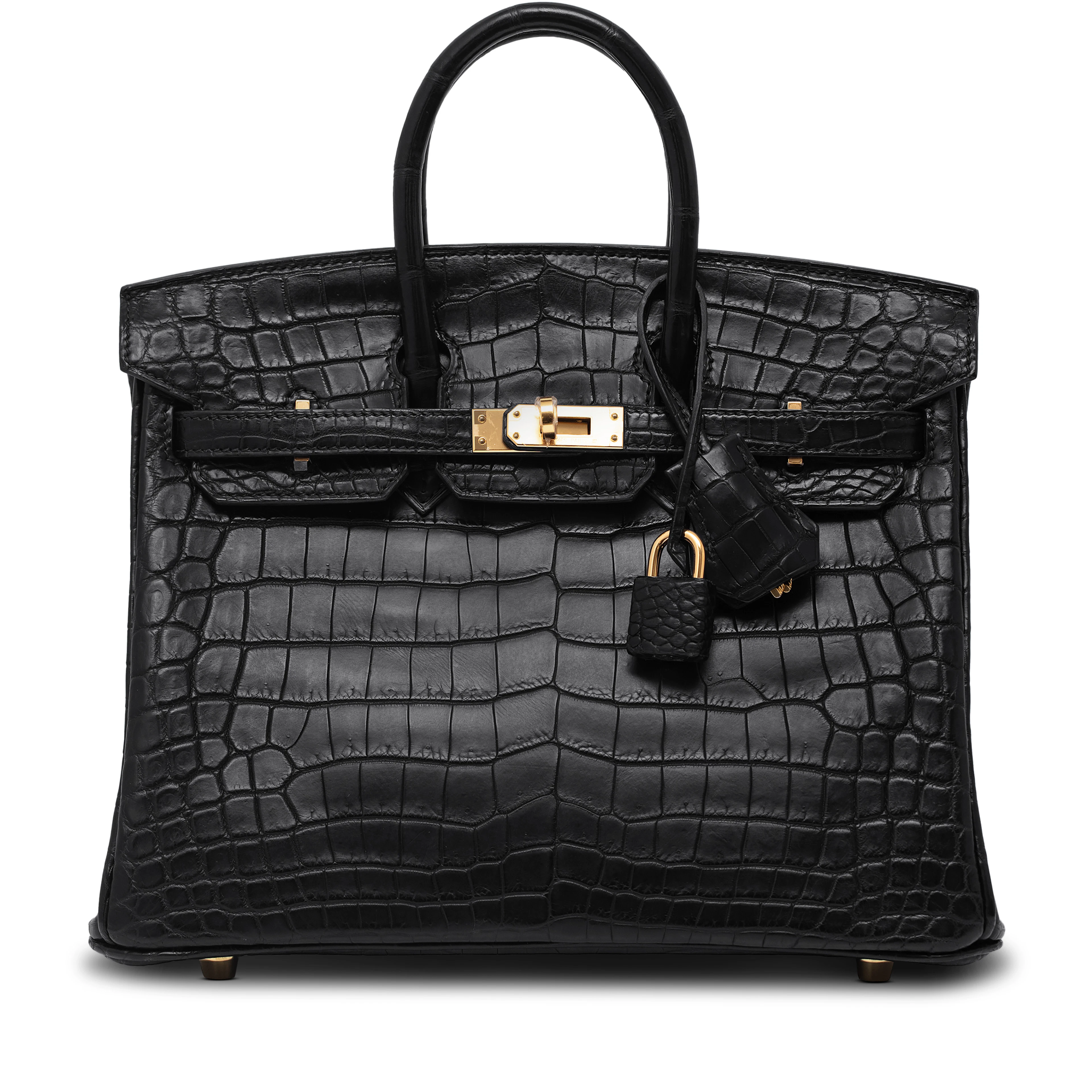 Black Niloticus Crocodile Matt Birkin 25 Rose Gold Hardware, 2021