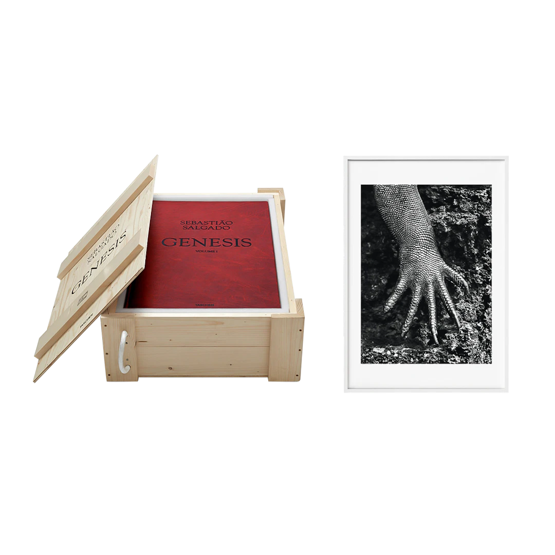 Genesis | Art Edition No. 301–400, Marine Iguana, Galápagos, Ecuador | Signed