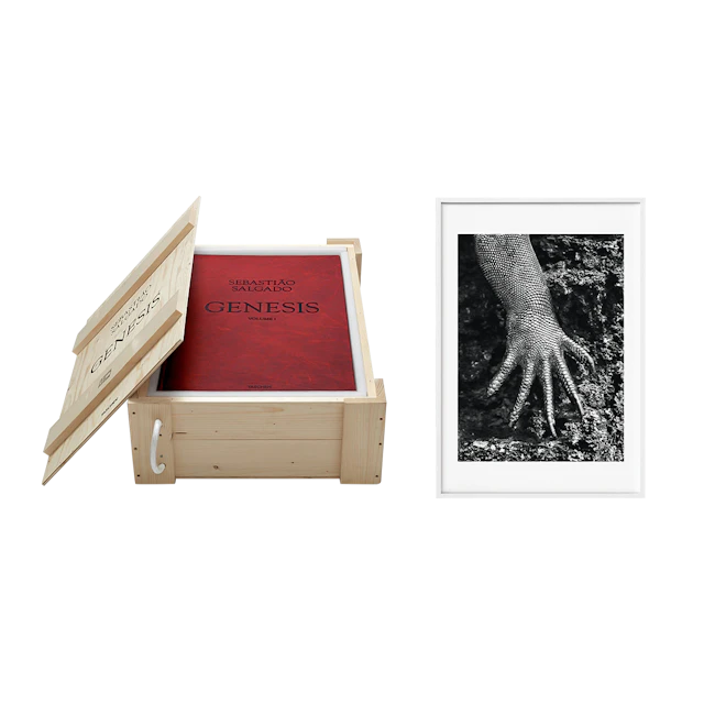 Genesis | Art Edition No. 301–400, Marine Iguana, Galápagos, Ecuador | Signed