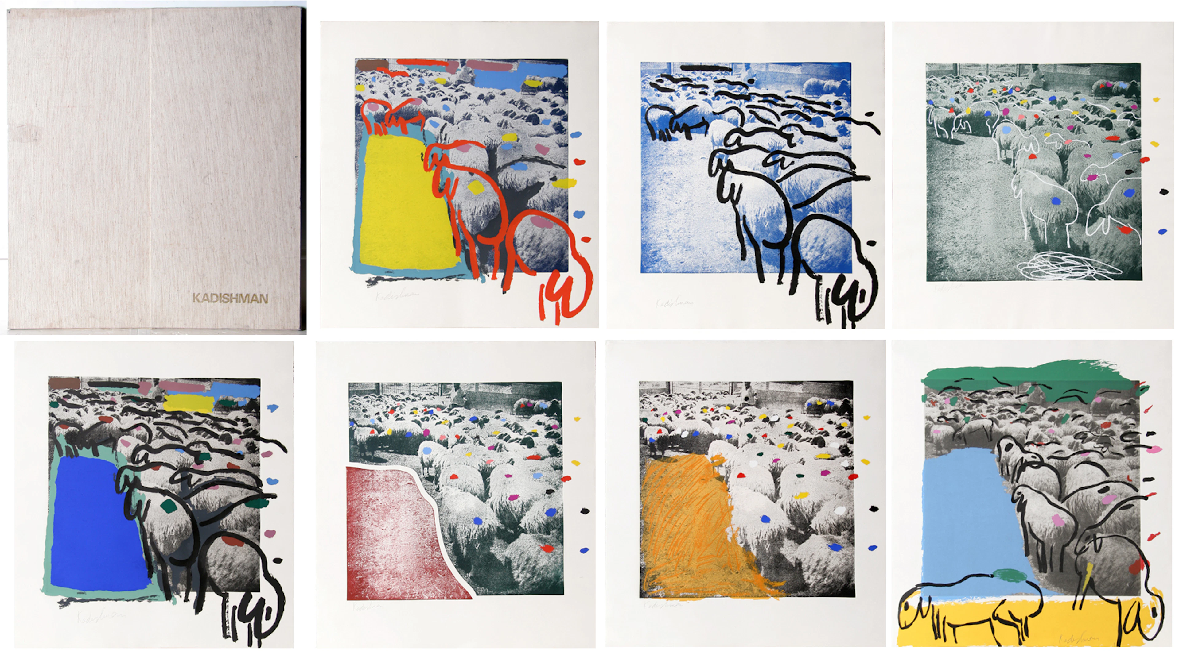 Sheep Portfolio