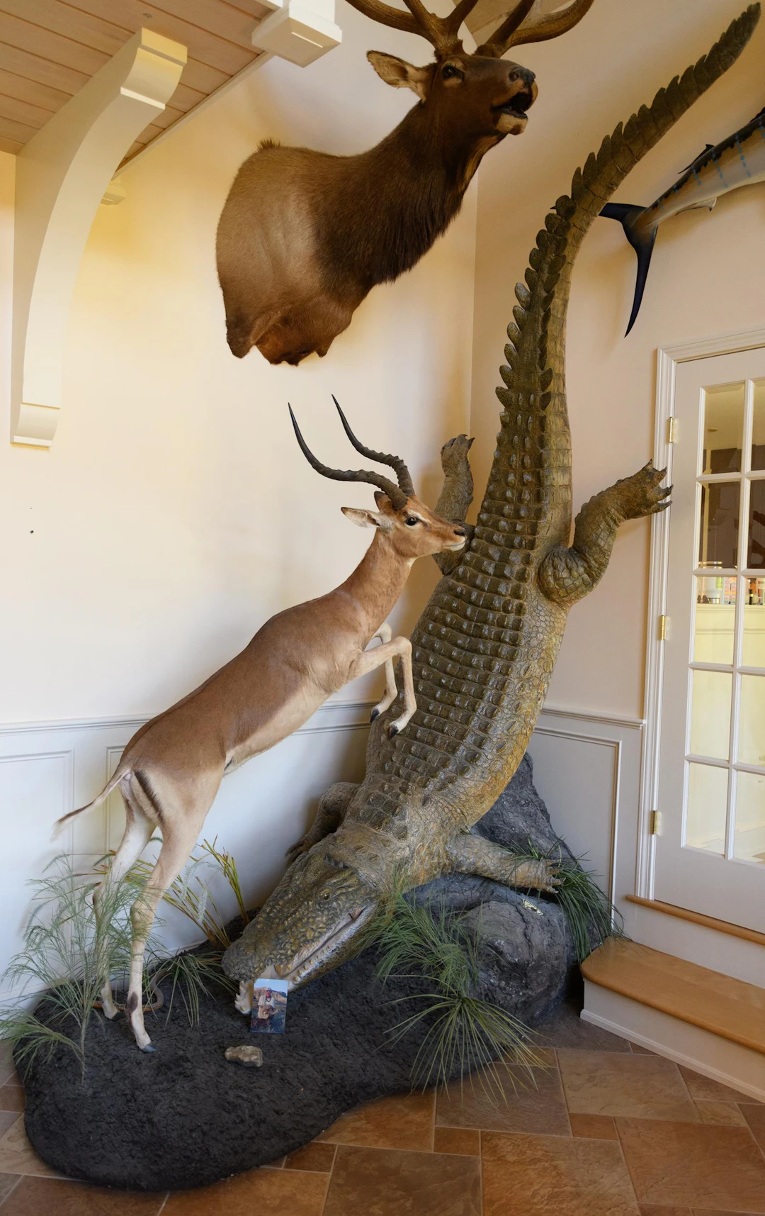 MOZAMBIQUE TAXIDERMY DIORAMA, IMPALA & CROCODILE.