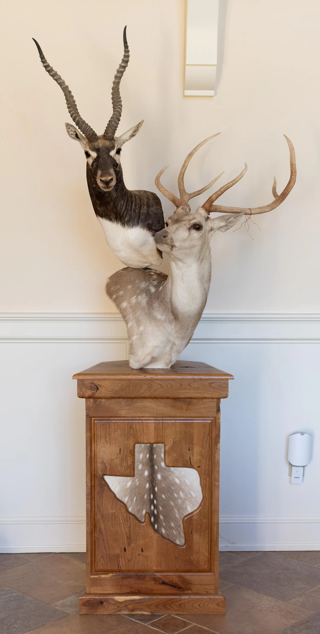 AXIS DEER AND BLACKBUCK ANTELOPE TAXIDERMY MOUNTS, 2PCS.